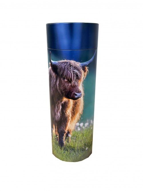 Highland Cow Scatter Tube