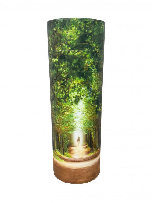 Into the Light Scatter Tube