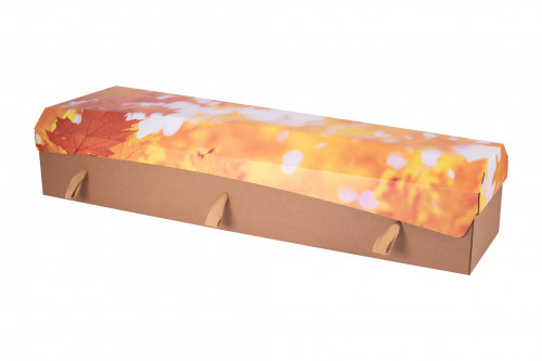 Cardboard Coffin - Printed