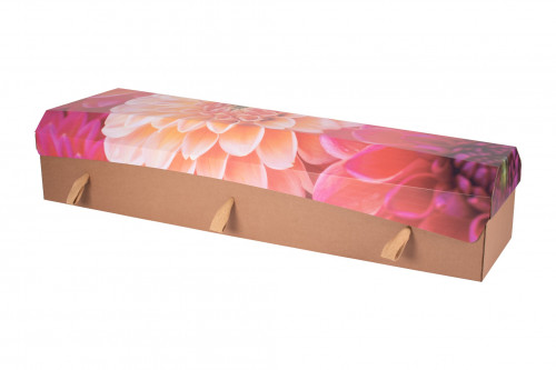 Cardboard Coffin - Printed