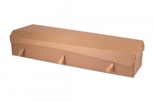 Cardboard Coffin - Plain