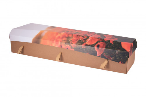 Cardboard Coffin - Printed