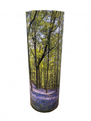 Bluebell Forest Scatter Tube