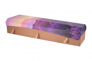 Cardboard Coffin - Printed