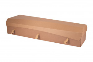 Cardboard Coffin - Plain