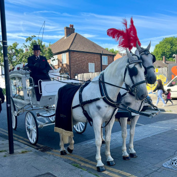 What a Horse-Drawn Funeral May Cost In Your Area